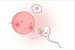 白带常规分析仪检查白带常规清洁度三度