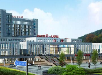 思南县人民医院采购全自动阴道分泌物检测仪