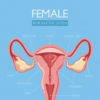 阴道分泌物检测仪提醒女人婚后得了妇科病做到这5点，发炎不来扰