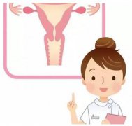 山东国康gk全主动阴道分泌物检测仪器设备凭仗自身技能赢得客户信赖