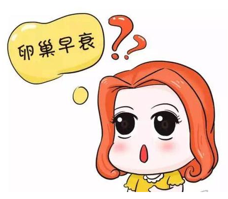 山东中仁全自动阴道分泌物分析仪品牌介绍卵巢保养的小秘诀！