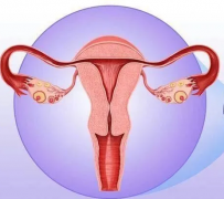 妇科阴道炎检测仪器厂家提醒女性坚持泡水喝，消炎灭菌，远离妇科炎症