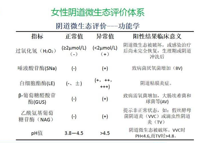 妇科微生态检测仪器