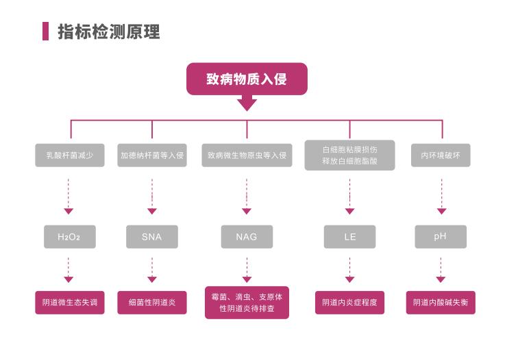 全自动阴道炎检测仪LTS-V400指标检测原理