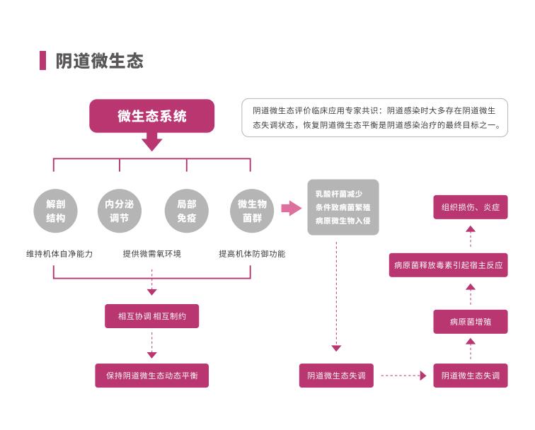 全自动阴道炎检测仪LTS-V400阴道微生态系统