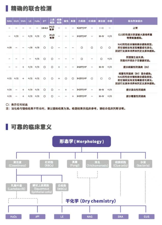 阴道分泌物分析仪V800精确的联合检测