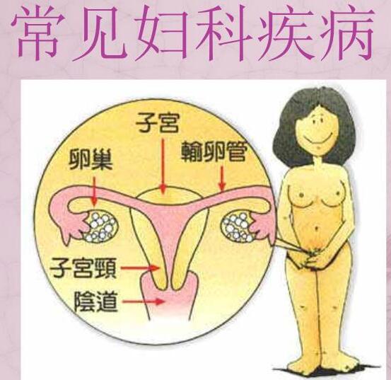 医院全自动白带分析仪检测女人妇科3种症状，谨防子宫长瘤！