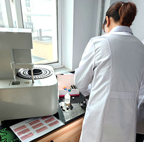 全自动生殖道分泌物检测仪在宕昌县疾病预防控制中心完成装机